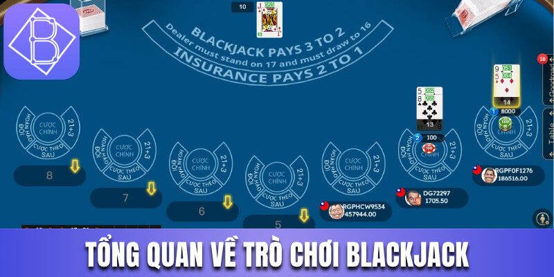 Tổng quan thông tin về trò chơi Blackjack